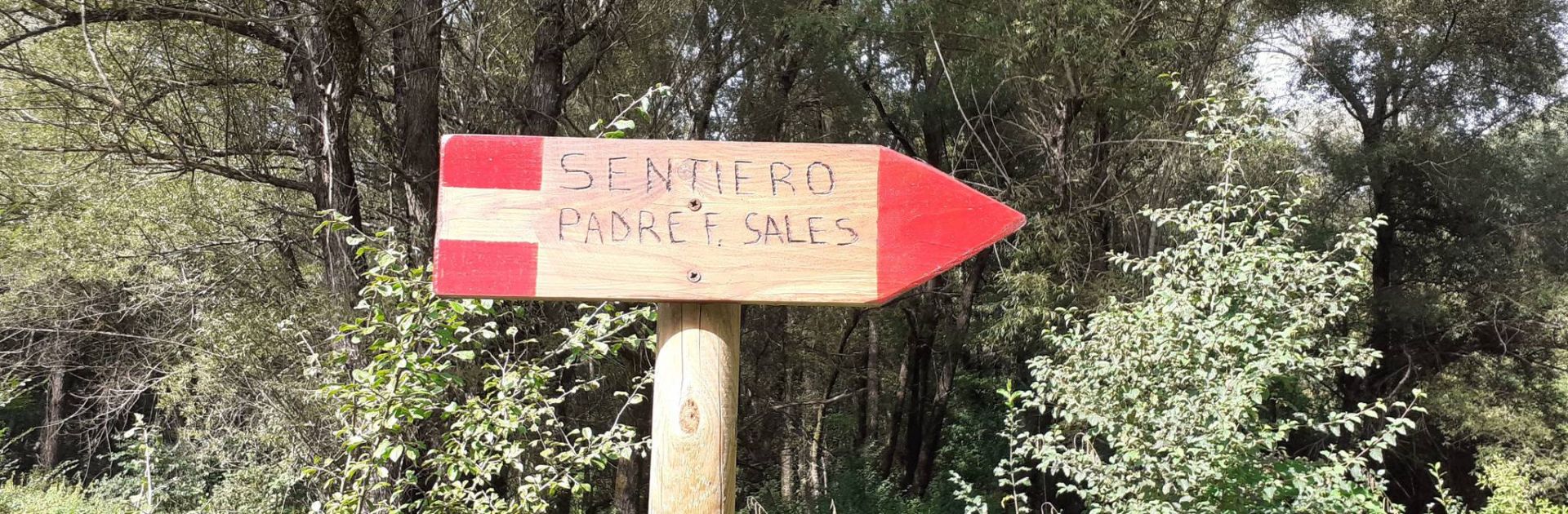 pisoniano san francesco